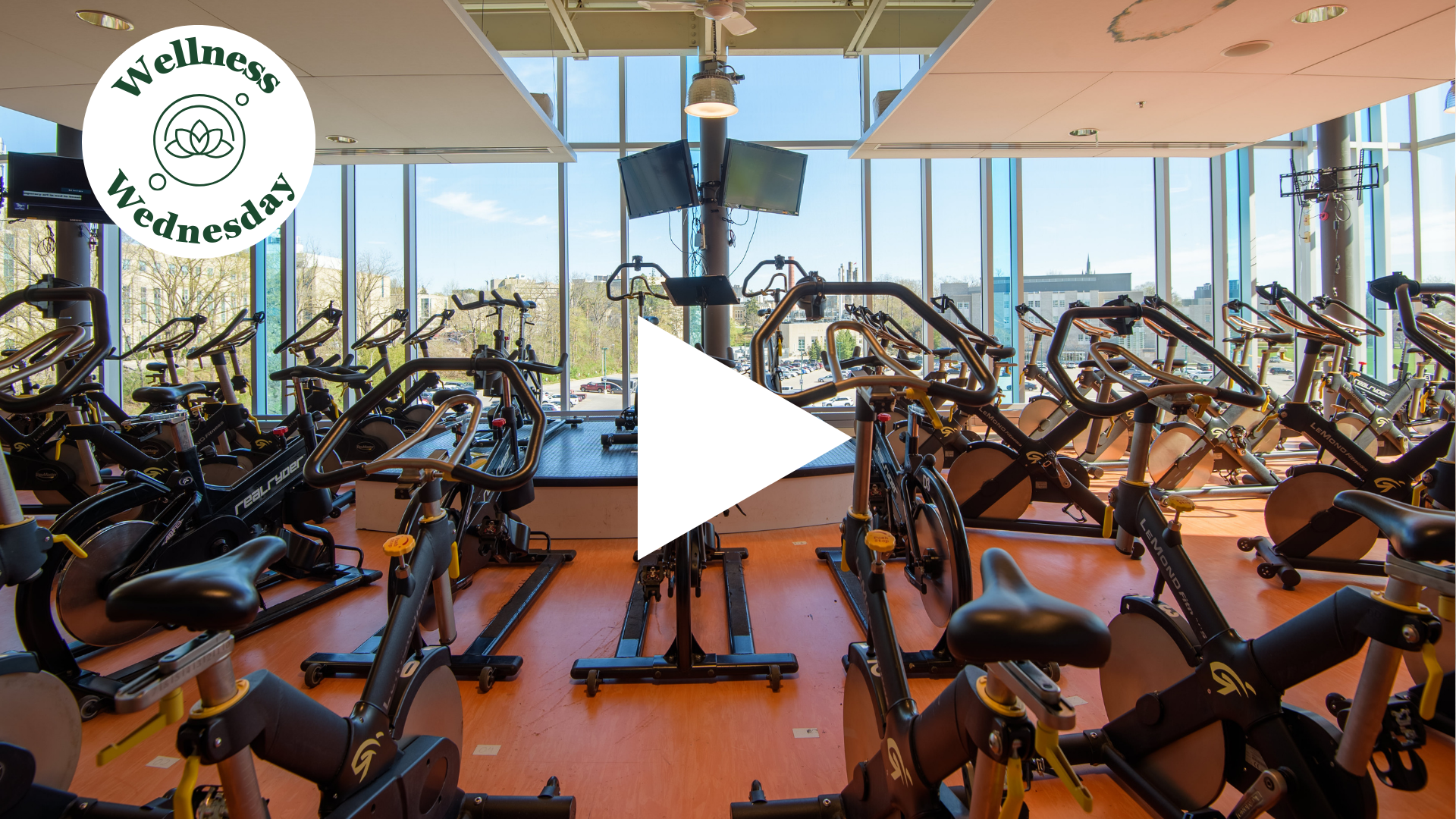 Photo of fitness equipment and wall of windows